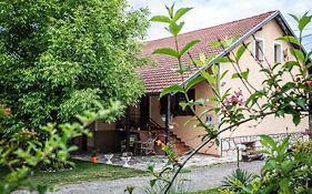 Apartment Tomasevic